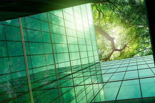 sustainability for ai featured blog image